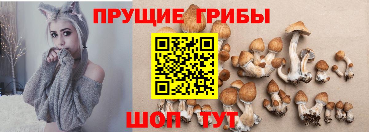 Псилоцибиновые грибы MAGIC MUSHROOMS  Вход с VPN  Йошкар-Ола 